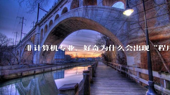 非计算机专业，好奇为什么会出现“程序依赖bug运行”的情况？