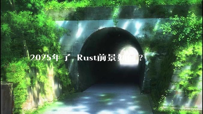 2025年了 Rust前景如何?