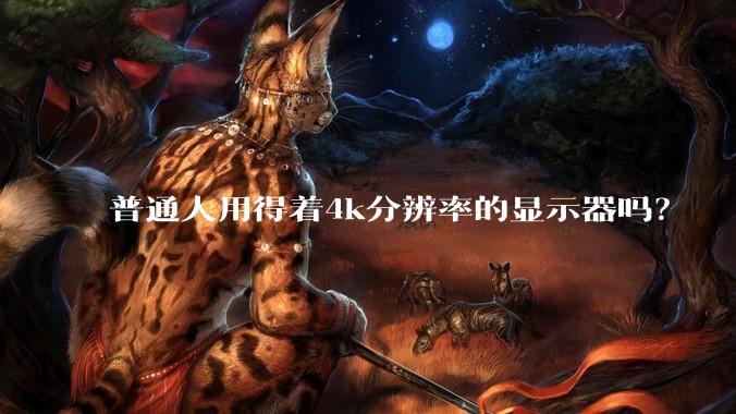 普通人用得着4k分辨率的显示器吗？