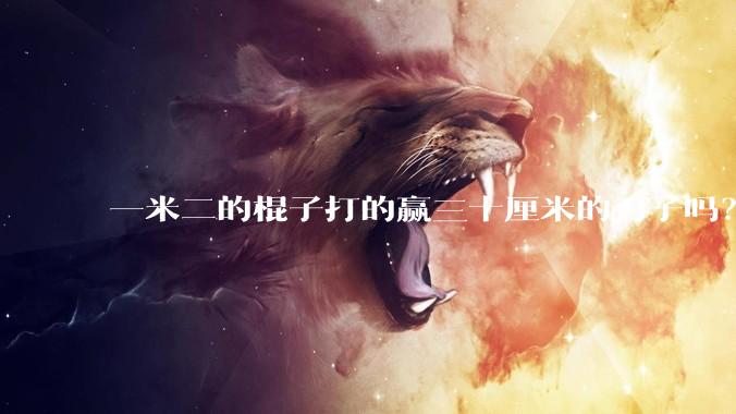 一米二的棍子打的赢三十厘米的刀子吗？