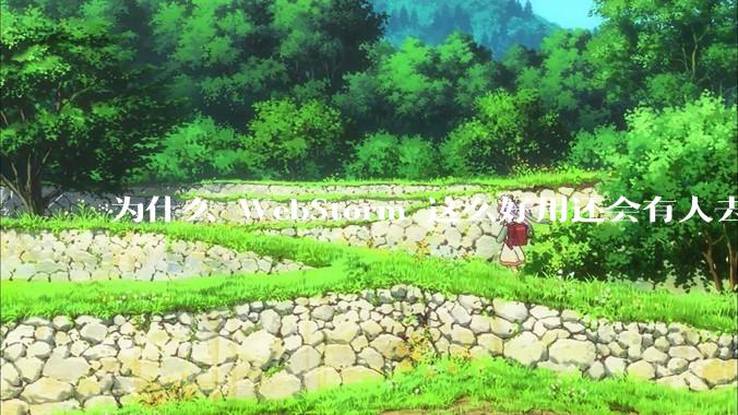 为什么 WebStorm 这么好用还会有人去用 VSCode？