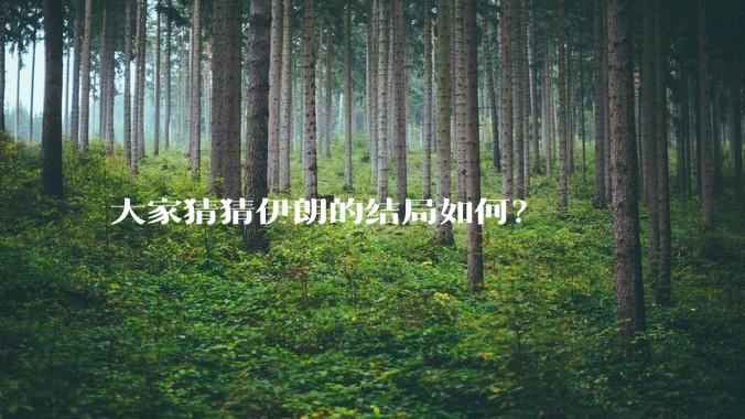 大家猜猜伊朗的结局如何？