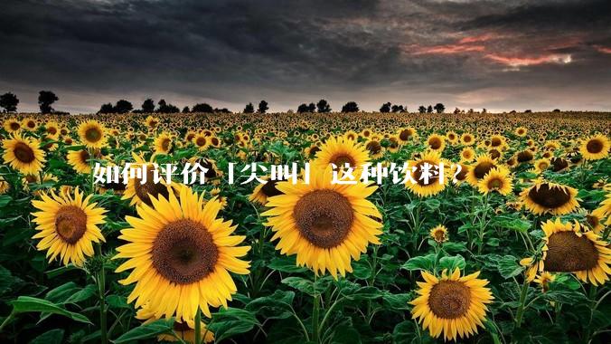 如何评价「尖叫」这种饮料？