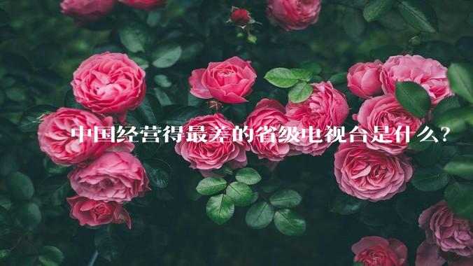 中国经营得最差的省级电视台是什么？