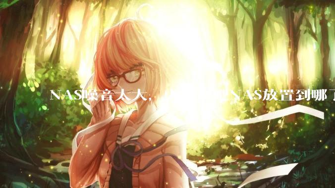 NAS噪音太大，大家都吧NAS放置到哪了？