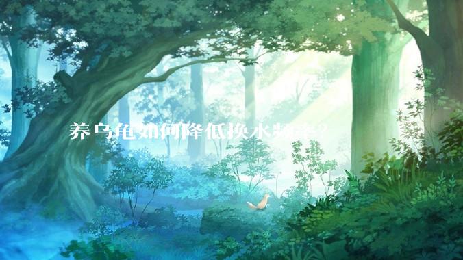 养乌龟如何降低换水频率？