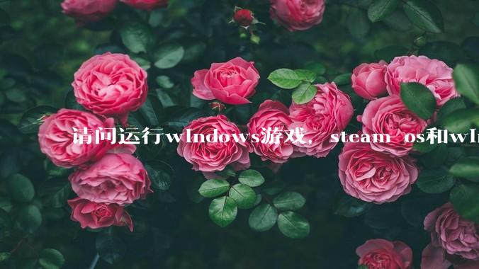 请问运行windows游戏，steam os和windows哪个效率高？