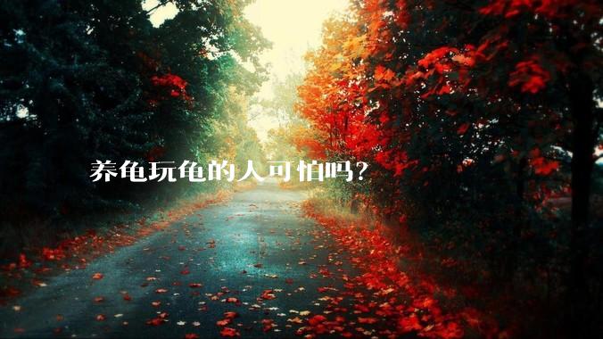 养龟玩龟的人可怕吗？