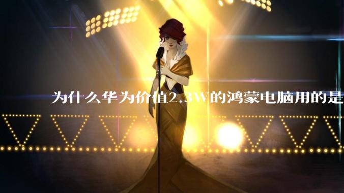 为什么华为价值2.3W的鸿蒙电脑用的是美国西数的中低固态硬盘？？