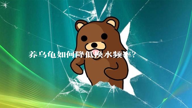 养乌龟如何降低换水频率？