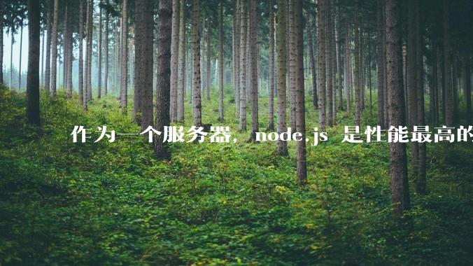 作为一个服务器，node.js 是性能最高的吗？