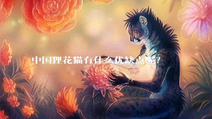 中国狸花猫有什么优缺点呢？