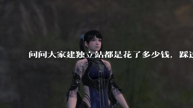 问问大家建独立站都是花了多少钱，踩过哪些坑？